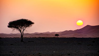 Oman Sunset